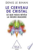 Cerveau de cristal (Le)
