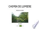 Chemin de Lumière