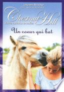 Chestnut Hill tome 10