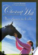 Chestnut Hill tome 11