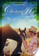 Chestnut Hill tome 15