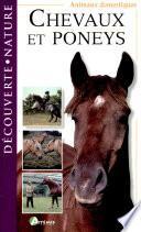 Chevaux et poneys