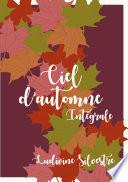 Ciel d'automne - intégrale