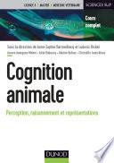 Cognition animale