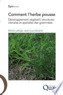 Comment l'herbe pousse