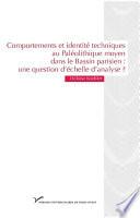 Comportements et identité techniques au Paléolithique moyen dans le Bassin parisien : une question d’échelle d’analyse ?