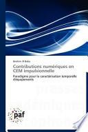 Contributions numériques en CEM impulsionnelle
