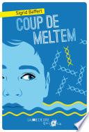 Coup de Meltem