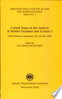 Current Issues in the Analysis of Semitic Grammar and Lexicon
