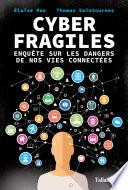Cyber Fragiles