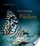 Dans l'intimité des papillons
