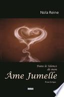 Dans Le Silence de Mon AME Jumelle