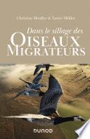 Dans le sillage des oiseaux migrateurs