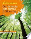 De l'énergie des arbres à l'homme