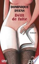Délit de fuite