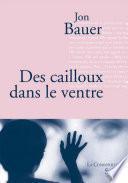 Des cailloux dans le ventre