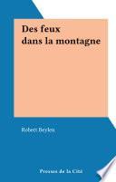 Des feux dans la montagne