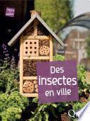 Des insectes en ville
