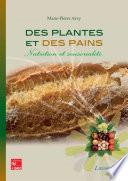 Des pains aux plantes – nutrition et sensorialité