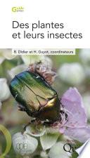 Des plantes et leurs insectes