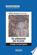 Des professionnels pour les jeunes. Sociologie d'un monde fragmenté