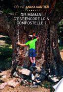 Dis maman, c'est encore loin Compostelle ?