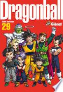 Dragon Ball perfect edition -