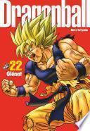 Dragon Ball perfect edition - Tome 22