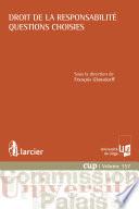 Droit de la responsabilité - Questions choisies