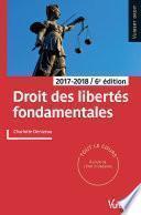 Droit des libertés fondamentales