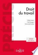 Droit du travail 2020 - 33e éd.