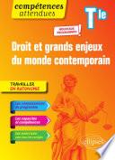 Droit et grands enjeux du monde contemporain - Terminale - Nouveaux programmes