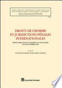 Droits de l'homme et juridictions penales internationales. Seminaires italo-tunisien (Tunis-Rome) mai-novembre 2009.
