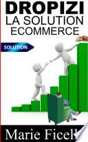 Dropizi : La Solution E-commerce