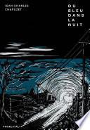 Du bleu dans la nuit