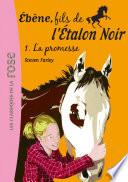 Ébène, fils de l'Etalon Noir 01 - La promesse