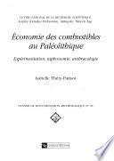 Economie des combustibles au paléolithique