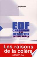 EDF : chronique d'un désastre inéluctable