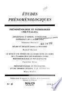 Études phénoménologiques