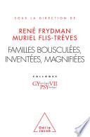 Familles bousculées, inventées, magnifiées