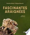 Fascinantes araignées