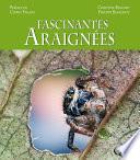 Fascinantes araignées