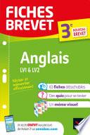Fiches brevet Anglais 3e