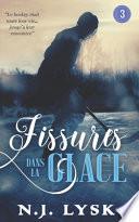 Fissures dans la Glace 3