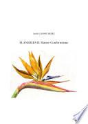 FLANERIES II/ Baiser-Conformisme