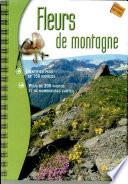 Fleurs de montagne