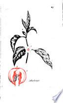 Flora Parisiensis