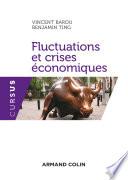 Fluctuations et crises économiques