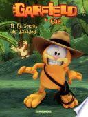 Garfield & Cie – tome 13 - Le secret de Zabadou
