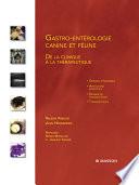 Gastro-entérologie canine et féline